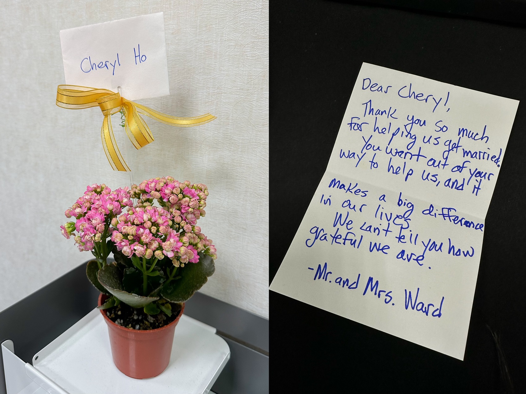 當作家遇見命運－改寫自己的人生篇章